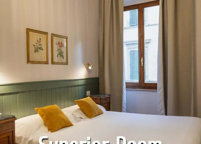 Zanobi 45 Gasthuis Florence