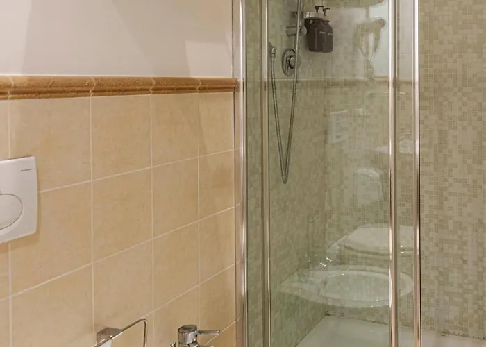 Zanobi 45 Gasthuis Florence